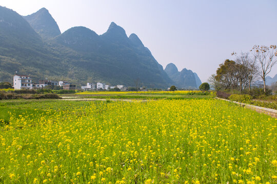 桂林山水遇龙河漂流