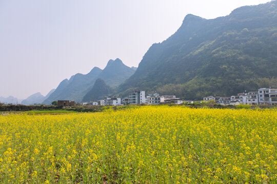 桂林山水遇龙河漂流