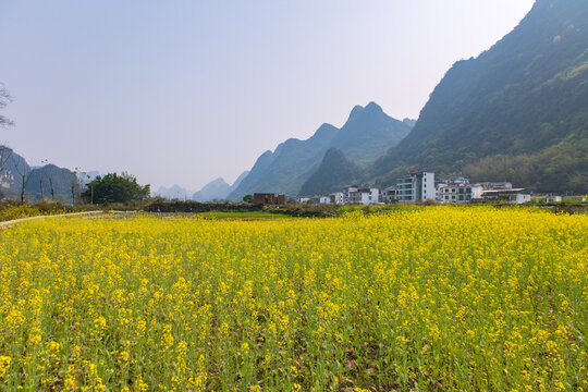 桂林山水遇龙河漂流