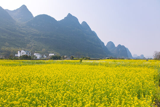 桂林山水遇龙河漂流