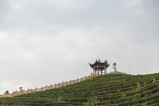 茶山凉亭