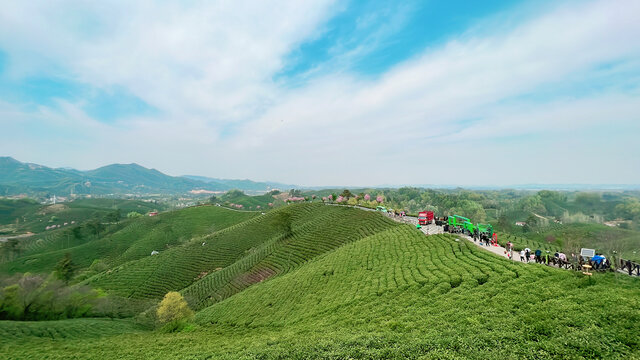 茶山壮丽美景