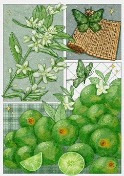 水彩分鏡插畫青檸
