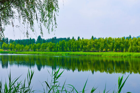 河道绿色