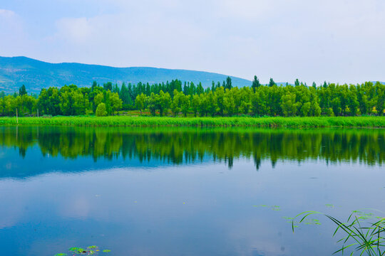 河道绿景