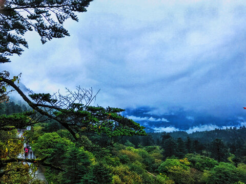 景区峰林峡谷地貌