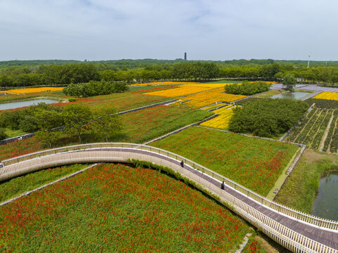 宿迁市三台山森林公园衲田