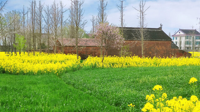 乡村住宅