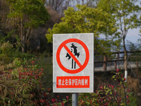 禁止在保护区内植树警示牌