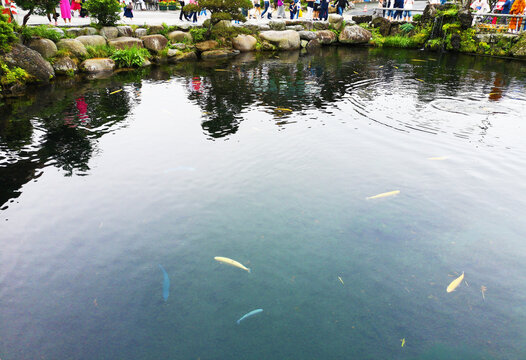 日本东京忍野八海风景