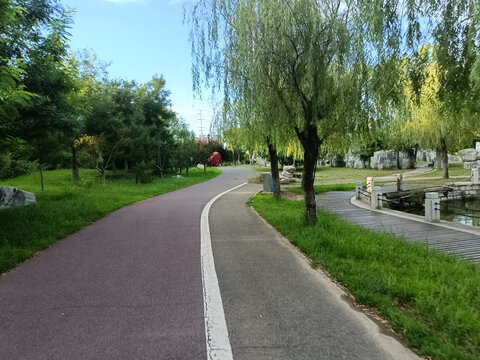 公园沥青路