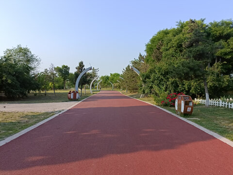 公园小路