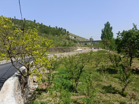 山区道路