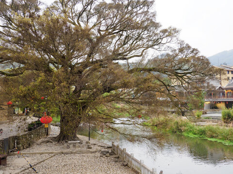 福建土楼南靖土楼云水谣景区