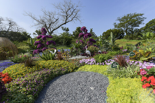 厦门植物园花展