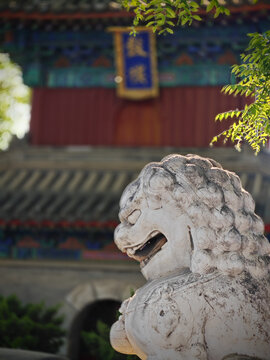 北京广济寺石狮子