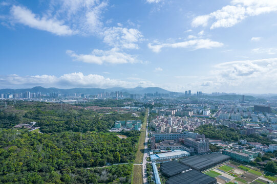 森林城市深圳龙岗新布村