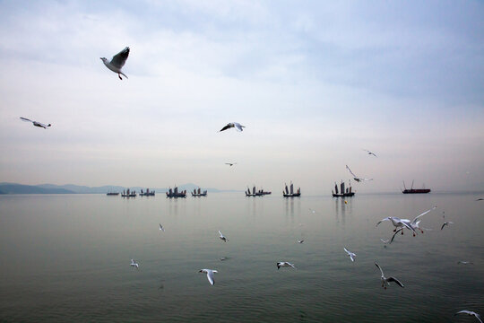 无锡鼋头渚风景区海鸥帆船