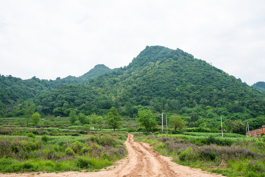 秦岭山