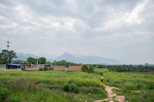 秦岭山