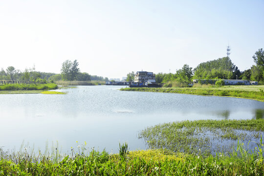 湖泊美景