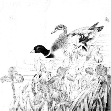 鴛鴦花叢中