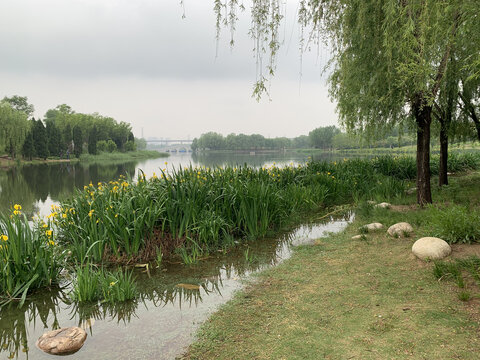 湖边风景