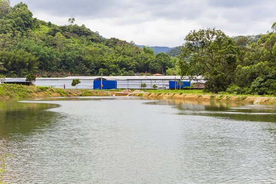 养鸡场建筑