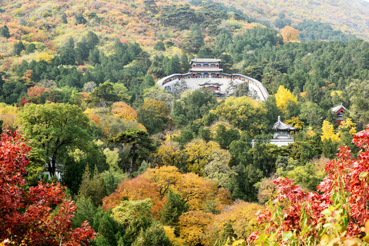 北京香山秋色