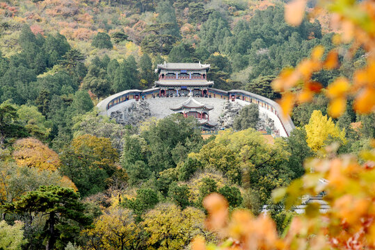 北京香山秋色