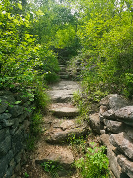 山间小路