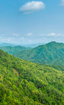 航拍山川山脉青山森林风光