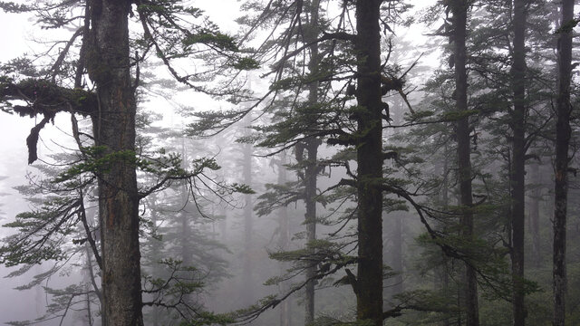 瓦屋山风景区