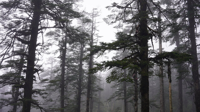 瓦屋山风景区