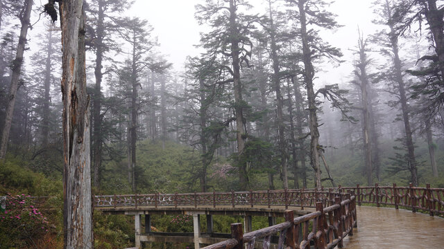 瓦屋山风景区