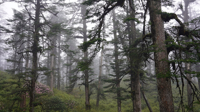 瓦屋山风景区