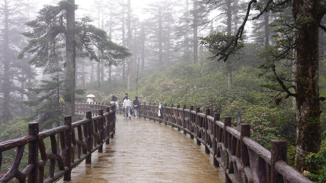 瓦屋山风景区