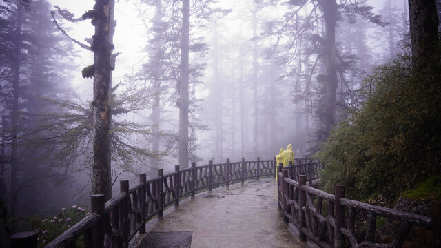 瓦屋山风景区