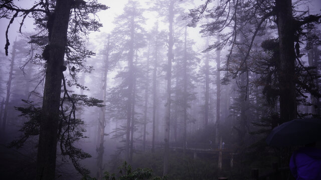 瓦屋山风景区