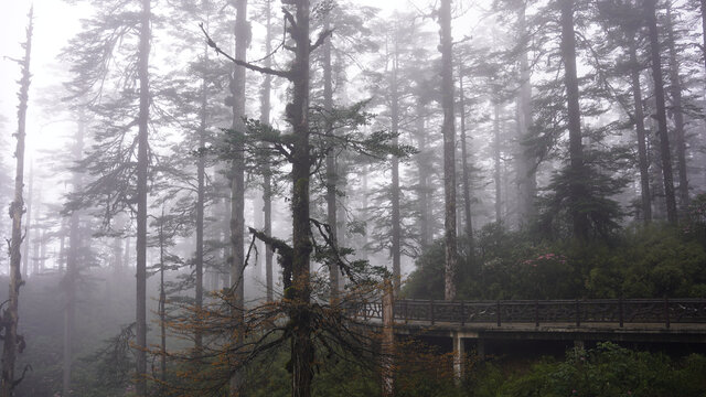 瓦屋山风景区