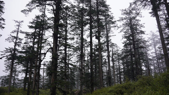 瓦屋山风景区