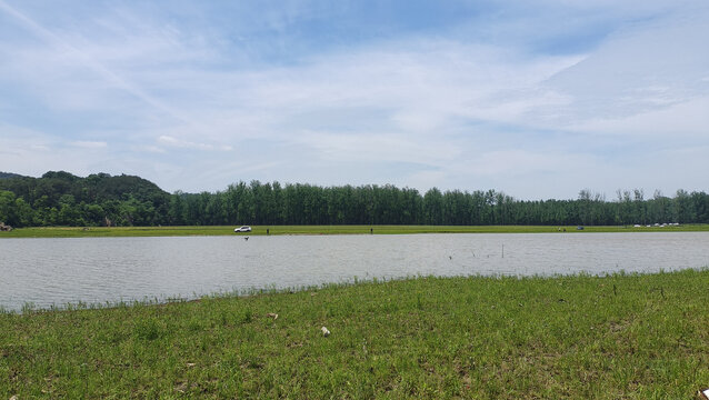 河边林地