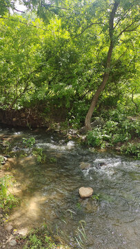 山涧流水