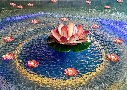 莲花水池