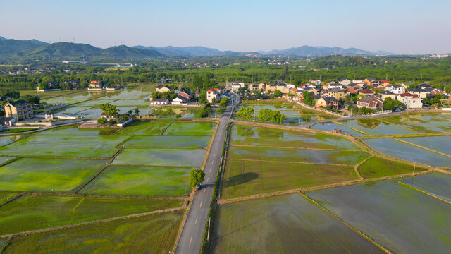 稻田航拍