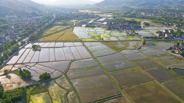 田园牧歌