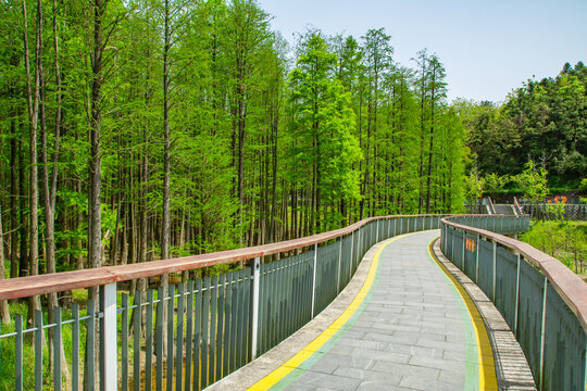 临安青山湖绿道