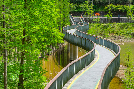 临安青山湖绿道