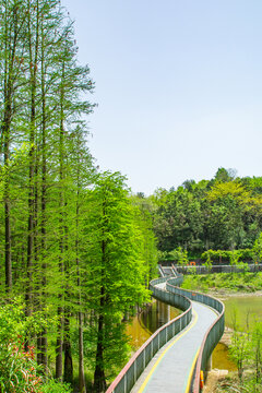 临安青山湖绿道