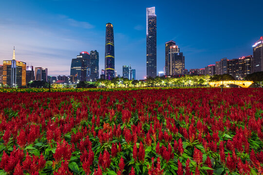 广州海心沙亚运公园花海夜景